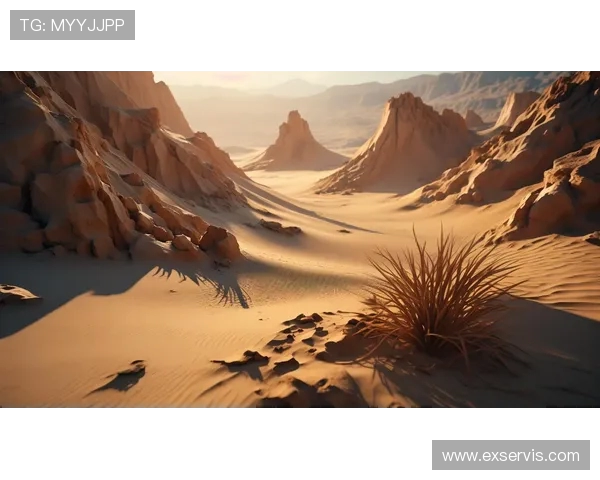 布莱克尼的神秘魅力与历史遗迹探索之旅